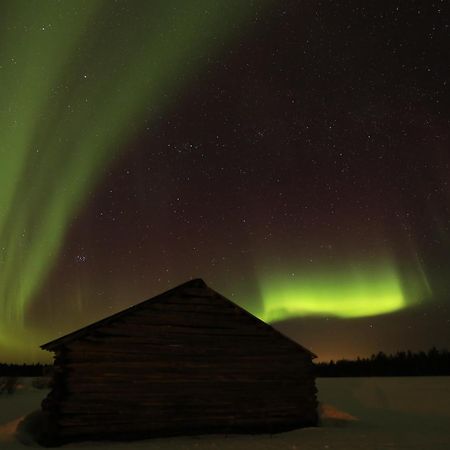 Lapland Northern Lights Hotel Ilveslinna Ranua Buitenkant foto