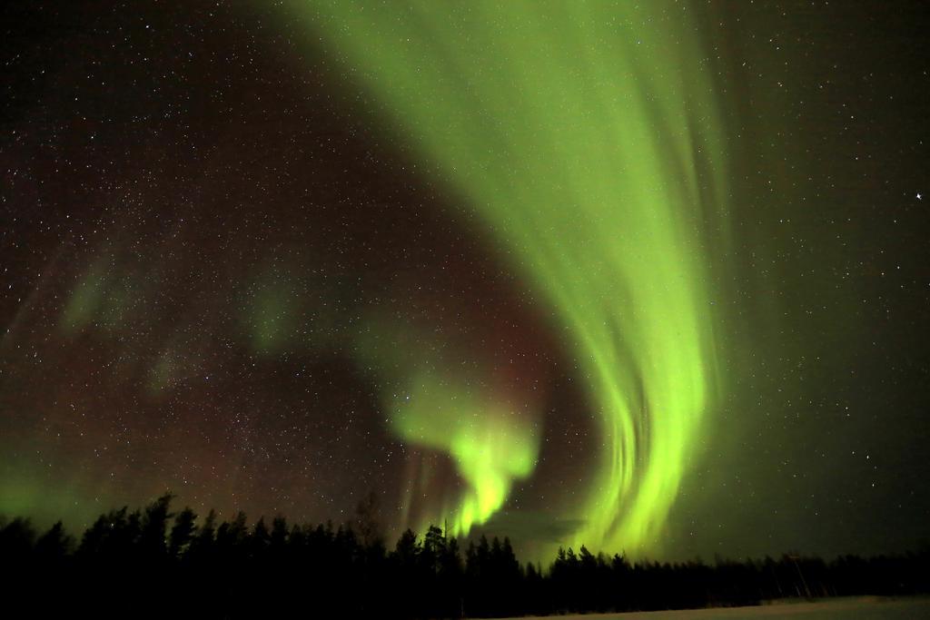 Lapland Northern Lights Hotel Ilveslinna Ranua Buitenkant foto