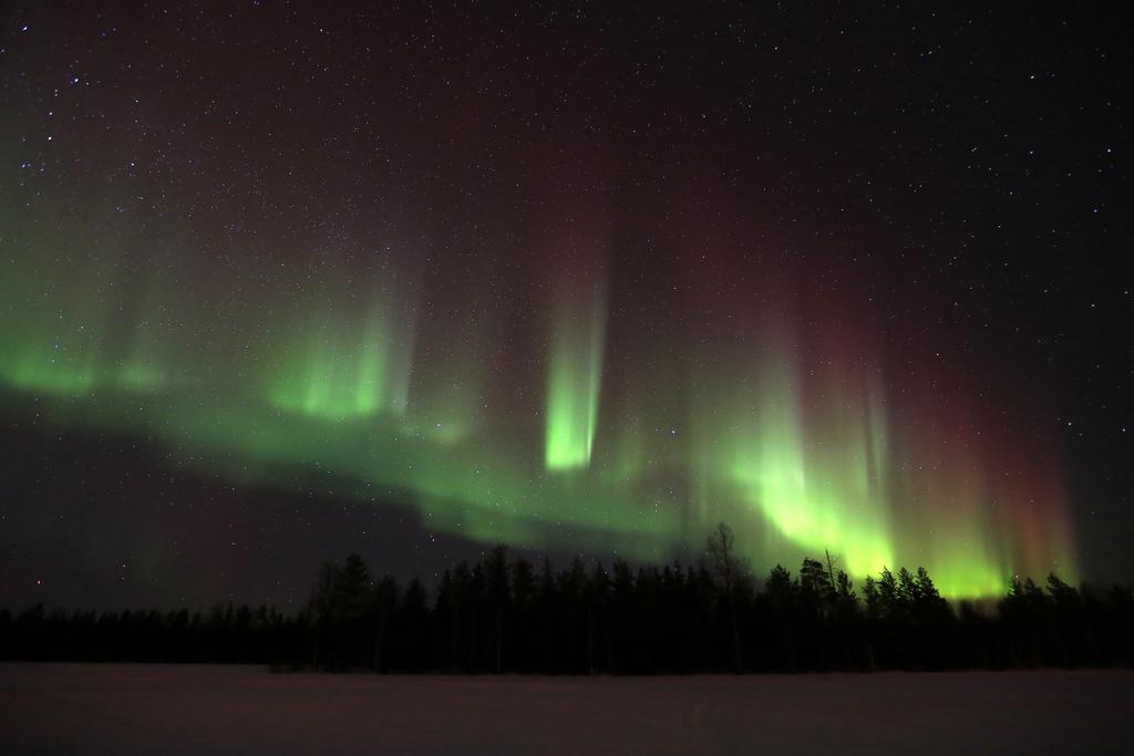 Lapland Northern Lights Hotel Ilveslinna Ranua Buitenkant foto