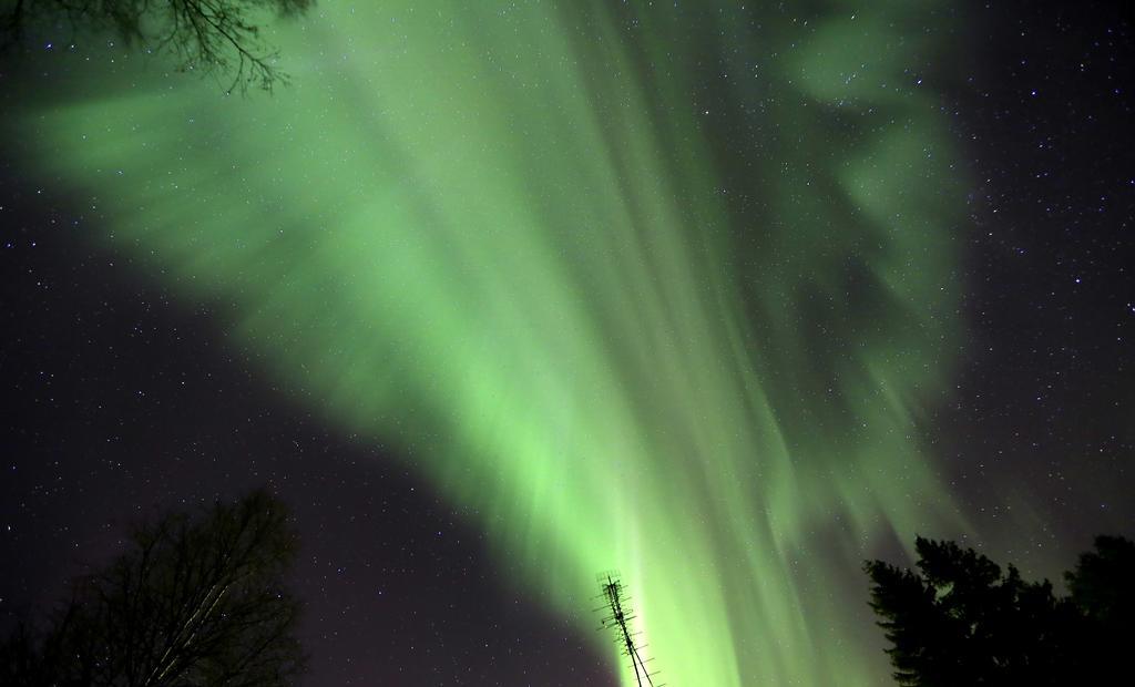 Lapland Northern Lights Hotel Ilveslinna Ranua Buitenkant foto