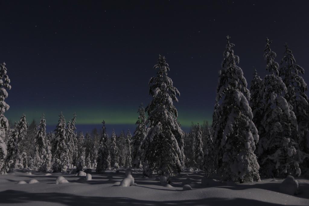 Lapland Northern Lights Hotel Ilveslinna Ranua Buitenkant foto