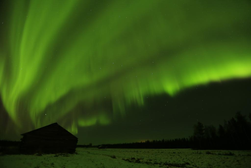 Lapland Northern Lights Hotel Ilveslinna Ranua Buitenkant foto