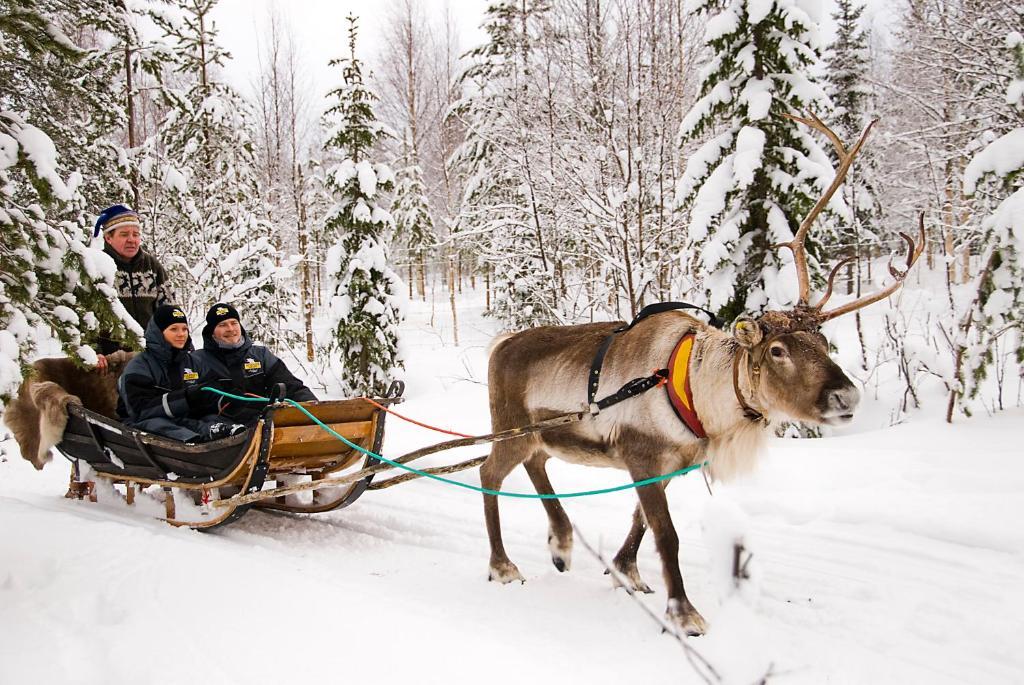Lapland Northern Lights Hotel Ilveslinna Ranua Buitenkant foto