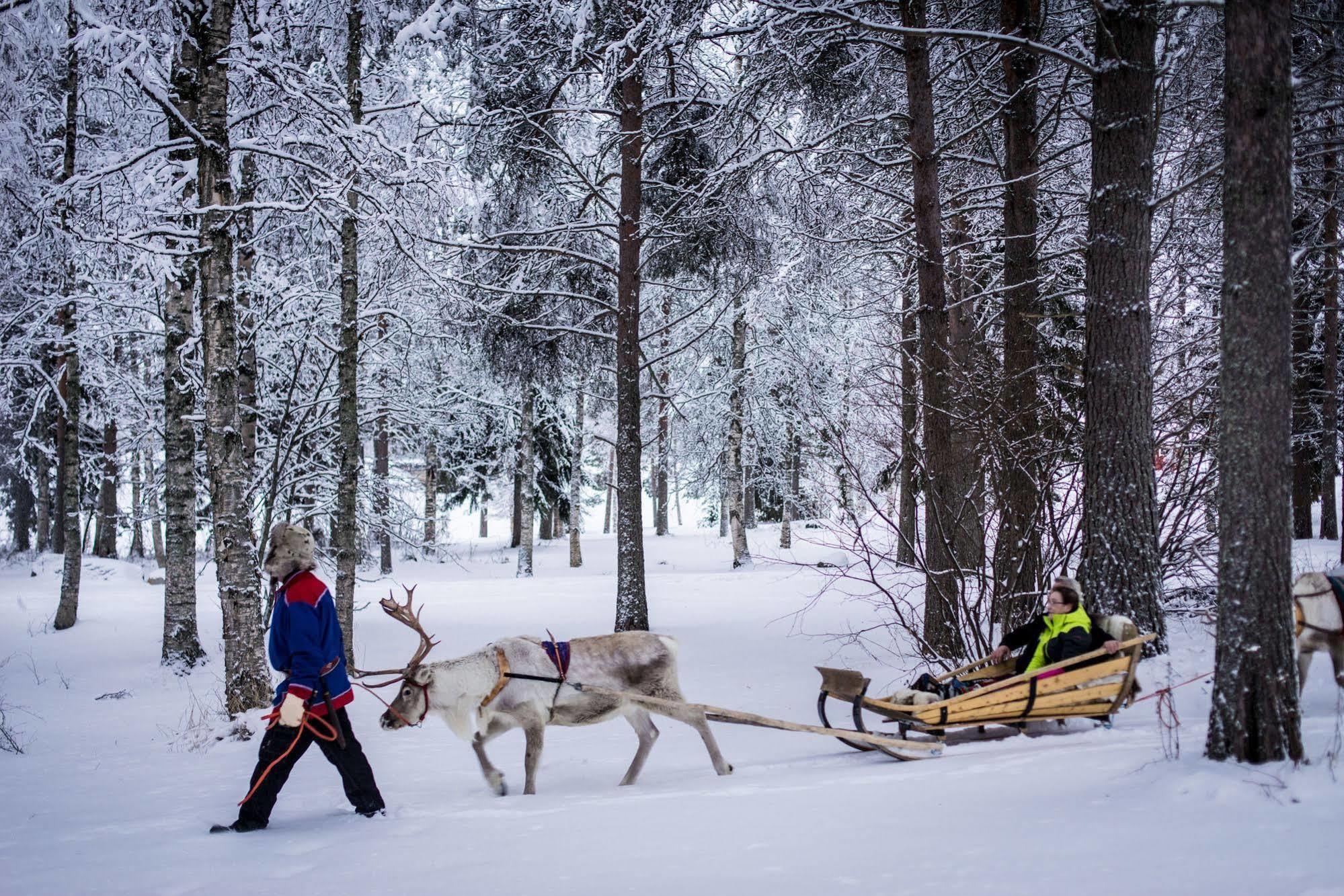 Lapland Northern Lights Hotel Ilveslinna Ranua Buitenkant foto