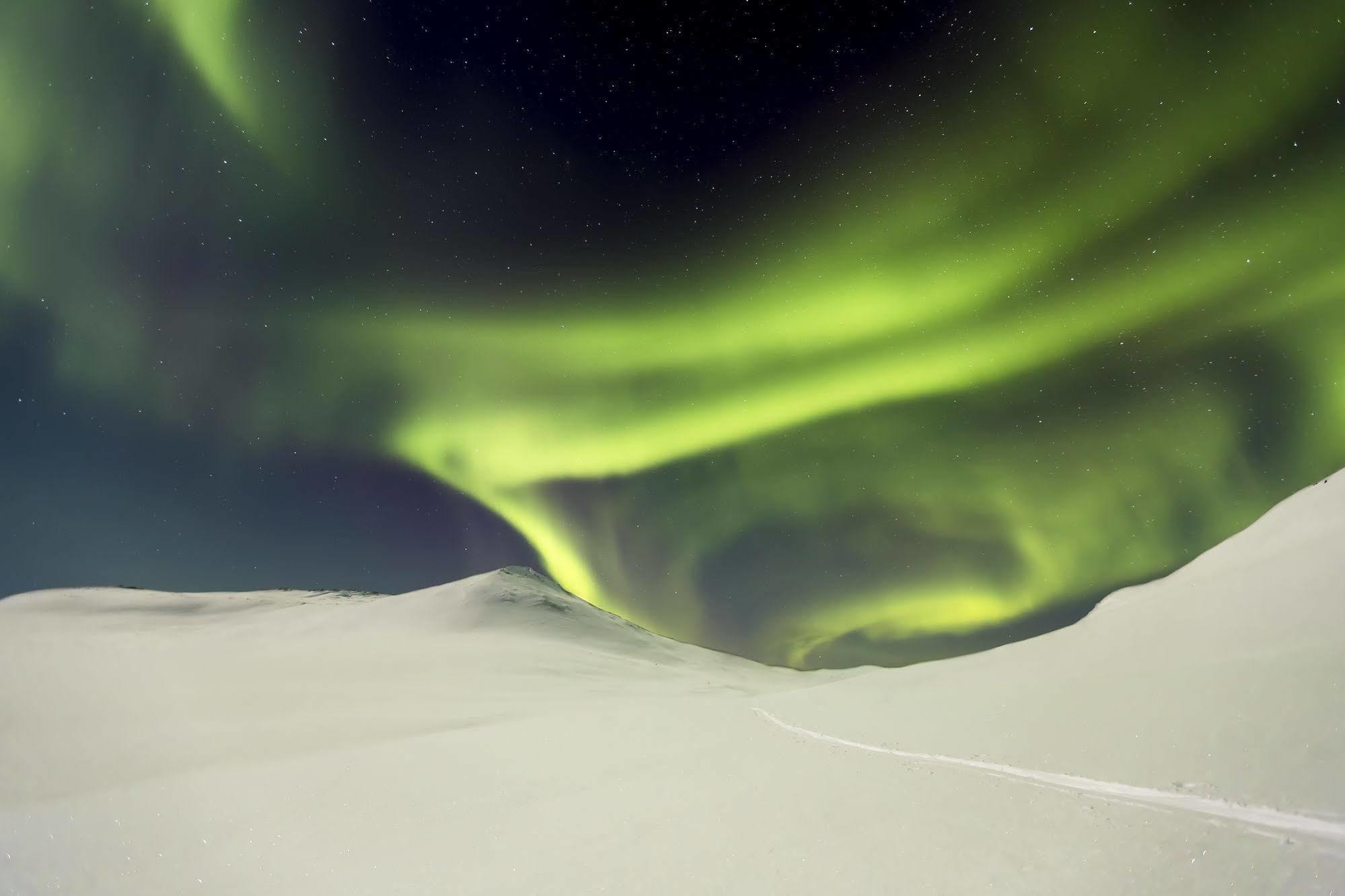 Lapland Northern Lights Hotel Ilveslinna Ranua Buitenkant foto