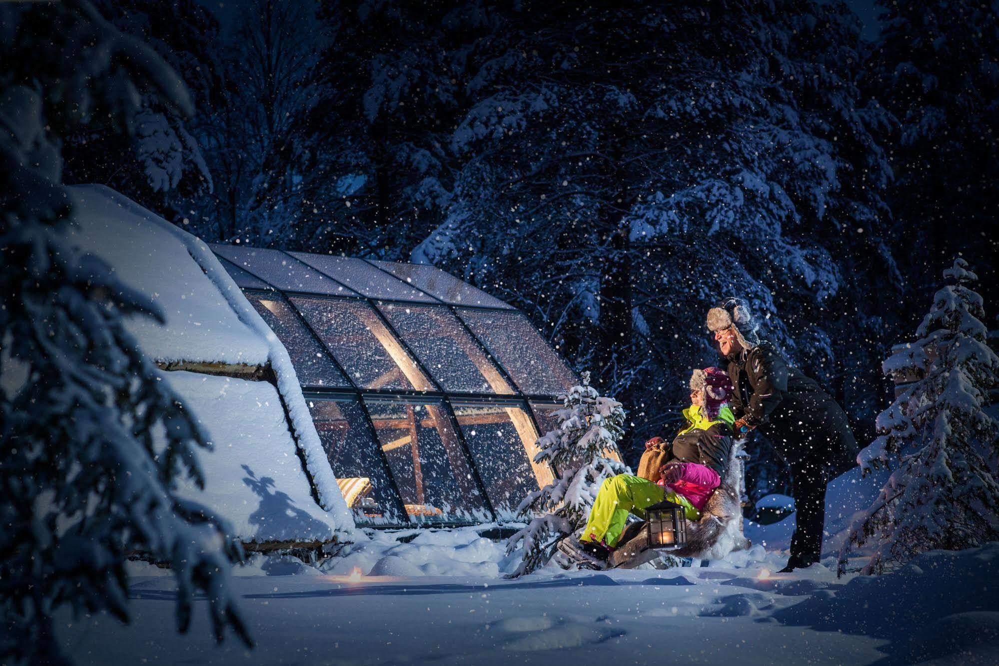 Lapland Northern Lights Hotel Ilveslinna Ranua Buitenkant foto